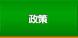政策